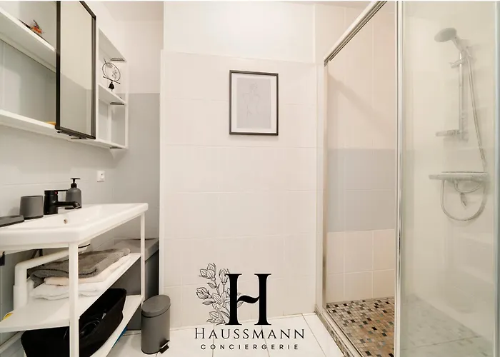 公寓 Magnifique Luxe Coeur De 南锡